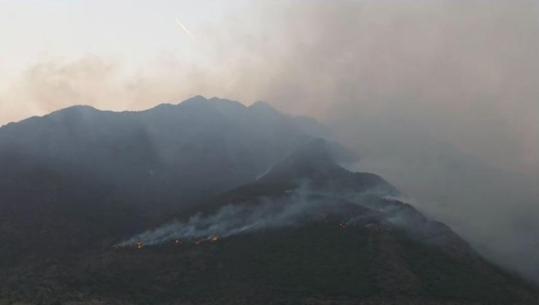 Zjarri në fshatin Vajkal të Bulqizës, identifikohet autori i dyshuar i zjarrvënies! Nisin hetimet në gjendje të lirë për 49-vjeçarin