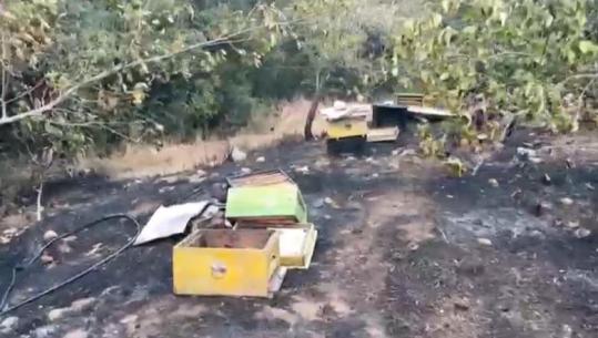 Zjarri në Vranisht të Himarës, digjen hektarë me ullinj dhe koshere bletësh! (VIDEO)