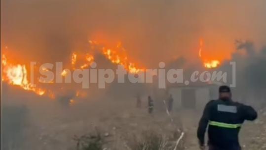 Zjarr masiv në Dragot të Tepelenës, flakët përfshijnë dhjetëra hektarë pyje dhe ullishte