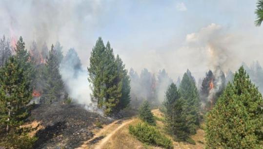 Dibër/ Zjarri në pyjet e Gramës merr përmasa të mëdha, në operacionin për shuarjen e flakëve 100 forca zjarrfikëse dhe një helikopter (VIDEO)