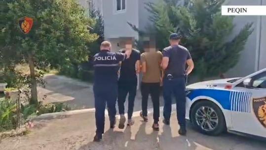 Autorë të disa vjedhjeve në Elbasan e Peqin arrestohen dy ‘skifterët’! Lëviznin me makinë me qira