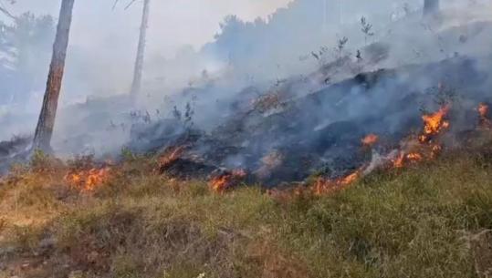 Zjarret në vend, 4 vatra aktive! Problematikë mbetet Dajti dhe Lundre në Mat! Në Ulëz flakët përhapen me shpejtësi, urdhër për evakuimin e 2 staneve