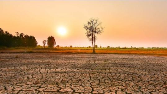OKB paralajmëron: El Niño mund të bëhet më i forti i regjistruar ndonjëherë, 2027-a rrezikon të jetë viti më i nxehtë në histori