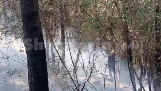 Zjarr në Greps të Niklës, flakët djegin pyje e shkurre