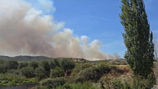 Fier/ Zjarr në kodrat e Radostinës, era dhe terreni i thyer sfidojnë zjarrfikësit