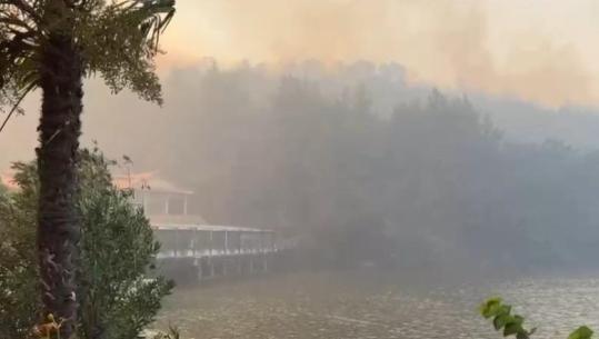 Zjarri u afrohet lokaleve në Levan, flakët vetëm 200 metra larg! Pronarët evakuojnë stafin: Duhet ndërhyrje nga ajri
