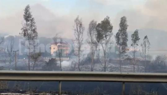 Pamje ‘apokaliptike’ nga zjarret në Fier, banorët: Na janë djegur qindra rrënjë ullinj, po na rrezikohen shtëpitë! Do marrim plaçkat dhe do ikim nga Shqipëria