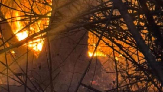 Zjarr në Picar të Gjirokastrës, flakët rrezikojnë të përhapen drejt banesave të fshatit! 2 grupe zjarrfikëse në terren