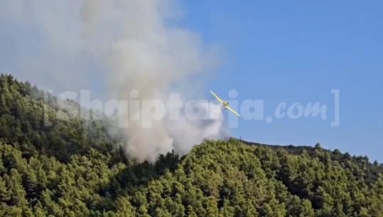 Zjarret, 11 vatra aktive në vend! Frakulli i Fierit ende në flakë, ndërhyhet me helikopter (VIDEO)