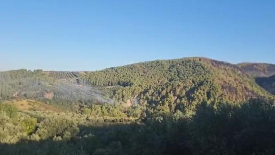 Frakulli i Fierit në ‘qetësi’ pas flakëve që dogjën 6 fshatra, ndërhyhet në një pikë zjarri