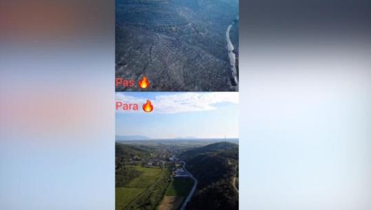 Fier/ Panorama e trishtë pas zjarrit në Levan, kodrat e gjelbra dhe tokat e mbjella kthehen në shkrumb