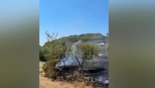 Iu afrua banesave, shuhet zjarri në Krastë të Elbasanit