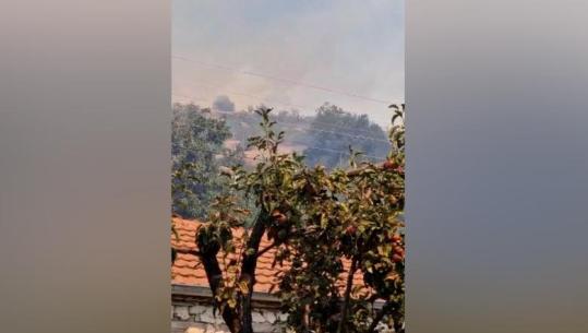 Zjarr në Borje të Kukës, era favorizon flakët