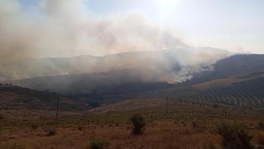 Vlorë/ Zjarr në Kropisht, flakët përhapen me shpejtësi në një gjatësi prej 1.5 km! Kërkohet ndërhyrje nga ajri
