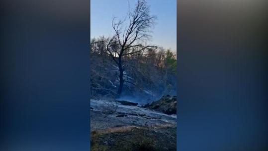 U riaktivizua gjatë natës, neutralizohet vatra e zjarrit në Çërrilë të Mallakastrës