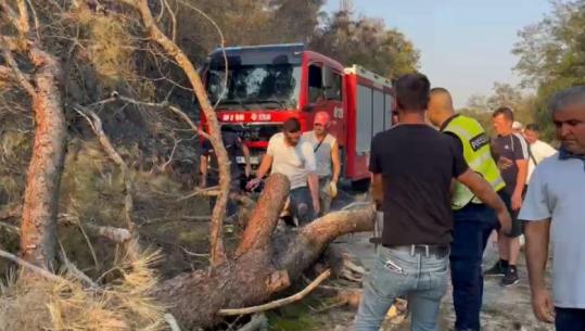 Bllokohet qarkullimi në aksin Levan-Fier, pisha e dëmtuar nga zjarri pengon kalimin e automjeteve