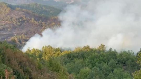 Lezhë/ Riaktivizohet zjarri në fshatin Rras, banorët: Janë mbi 5 vatra aktive, flakët po afrohen pranë banesave