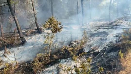 Zjarre në vend, 13 aktive në disa qarqe të vendit! Vijojnë operacionet nga toka dhe ajri për shuarjen e flakëve
