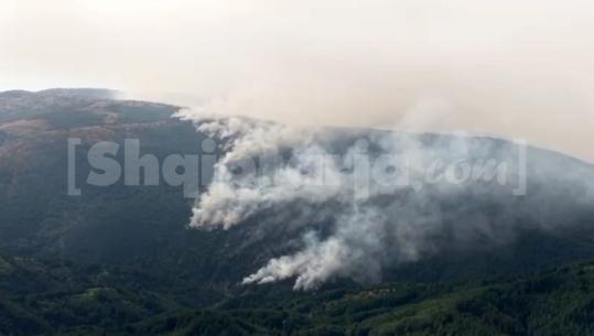 Vijon prej pesë ditësh zjarri në pyjet e Tërbunit në Pukë, banorët kërkojnë ndërhyrje nga ajri