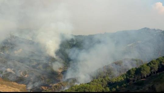 Riaktivizohet zjarri në Cërrilë të Mallakastrës, flakët përhapen me shpejtësi në pyllin me pisha! Mbërrin helikopteri për ndërhyrje nga ajri