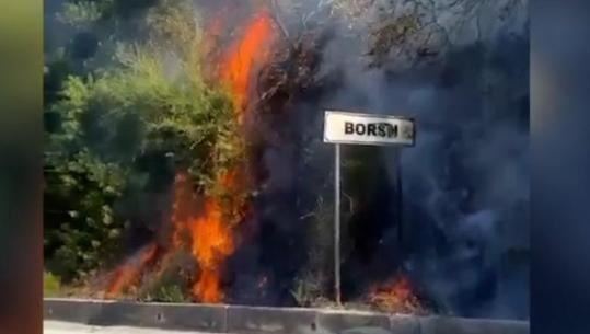 Ndezi disa vatra zjarri në Borsh, arresohet 52-vjeçari! Flakët rrezikuan një banesë dhe dogjën një sipërfaqe pyjore