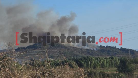 Fier/ Zjarr në kodrat e Pojanit pranë Parkut të Apolonisë, zjarrfikëset në vendngjarje