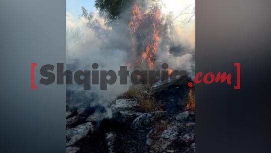 Zjarr në fshatin Jorgucat të Gjirokastrës, flakët u përhapën pas rënies së rrufesë në majë të malit