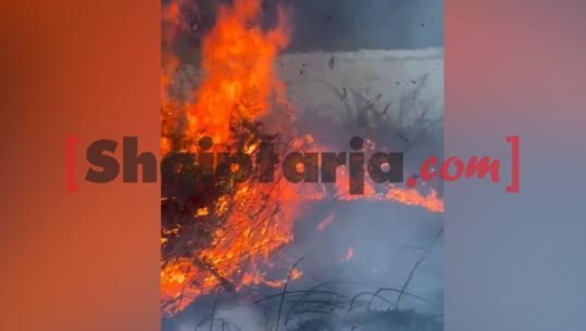 Zjarr në Parkun Natyror të Viroit në Gjirokastër, dyshohet i qëllimshëm