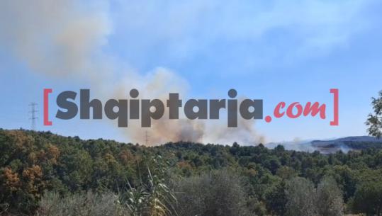 Zjarr pranë liqenit të Zagracës në Krujë, digjen pyje me pisha