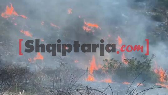 Dy vatra zjarri në Bubq e Derven, flakët pranë banesave