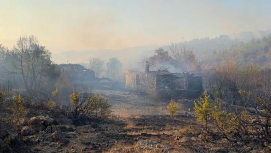 Bilanci/ 12 banesa dhe 2500 hektarë pyje të djegura në Lezhë e Mirditë! Kompensim nga bashkitë për familjet e prekura