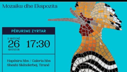 “Shqipëria është biodiversitet”, mozaiku në zemër të Tiranës! Mozaiku, sensibilizim për të ruajtur speciet e kërcënuara
