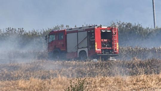 Zjarr në Topojë të Fierit, flakët përhapen me shpejtësi nga era! Rrezikohet një banesë, banorët i bashkohen aksionit për shuarjen