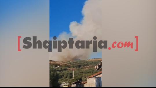 Fier/ Zjarr i përmasave të mëdha në ullishtet e Kreshpanit, flakët favorizohen nga era e fortë! Rrezikohet edhe masivi pyjor me pisha