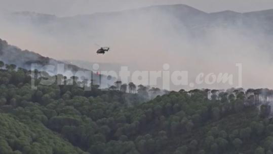 Zjarr në Topojë e Kreshpan të Fierit, flakët përhapen me shpejtësi nga era e fortë! Rrezikohen sipërfaqe me ullishte e pisha (VIDEO)
