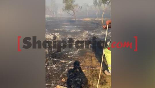 Zjarr masiv në Piraj të Lezhës, flakët u afrohen banesave dhe Kishës së fshatit