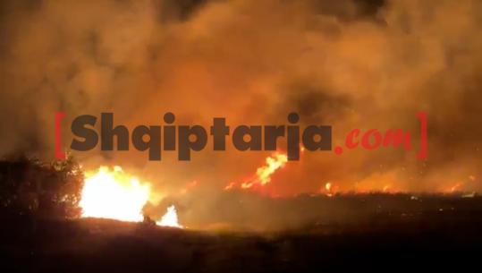 Lezha nuk gjen qetësi, zjarr në Barbullojë! Flakët u afrohen banesave, shkëputet edhe energjia elektrike