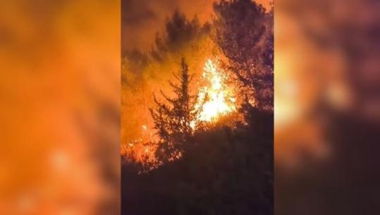 Pjerin Ndreu apel qytetarëve të Lezhës: Mos ndizni zjarre, një shkëndijë mjafton për të shkaktuar një katastrofë