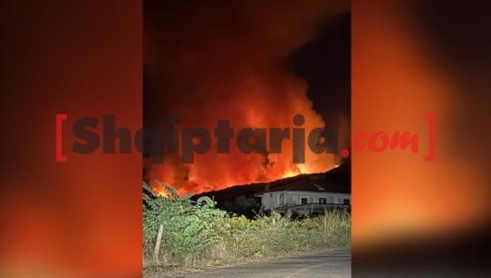 Zjarri në Galush dhe Gjevur të Peqinit, flakët u afrohen banesave