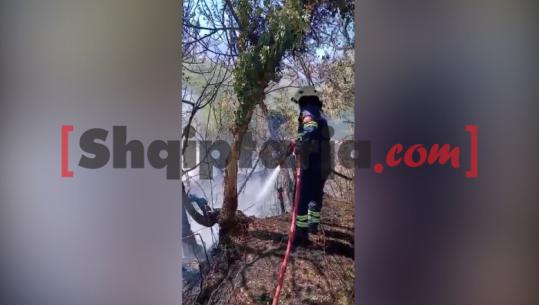 Zjarr i madh përfshin kullotat në Gjirokastër, policia nis hetimet për gjetjen e përgjegjësve 