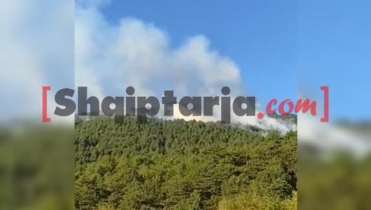 Zjarri në majën e Bukanikut në Gjinar, ndërhyn avioni ‘Air Tractor’