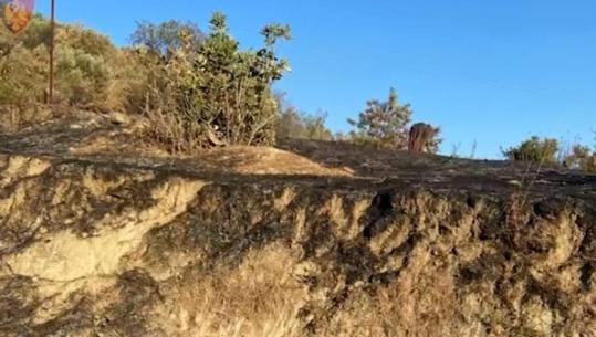 Ndezi zjarr për të djegur mbeturinat, flakët dogjën ullinj dhe çatinë e një banese! Arrestohet 33-vjeçari në Mallakastër (EMRI)
