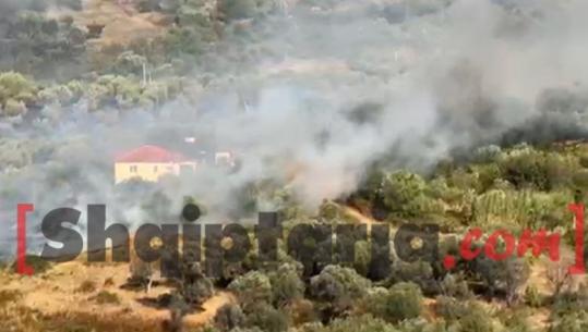 Fier/ Zjarri në Mërgliç vazhdon të përhapet, flakët i afrohen banesave! Pritet ndërhyrja nga ajri, tymi mbulon edhe Patosin (VIDEO)