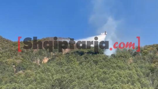 Zjarri në Gjinar të Elbasanit,  avioni 'Air Tractor' nis aksionin për shuarjen e flakëve