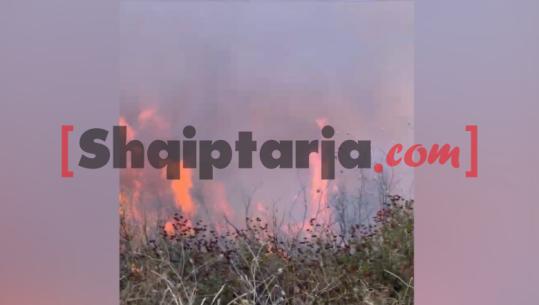 Era riaktivizon zjarrin në fshatin Marglliç, zjarrfikësit në luftë me flakët (VIDEO)