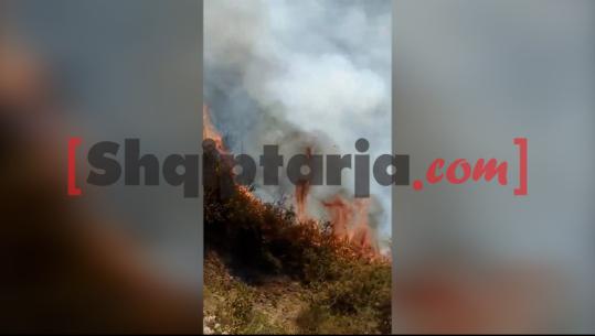 Zyrtarisht në vjeshtë, por vendi s'gjen qetësi nga zjarret! 2 vatra aktive në Kukës, problematike ajo në fshatin Kollovoz