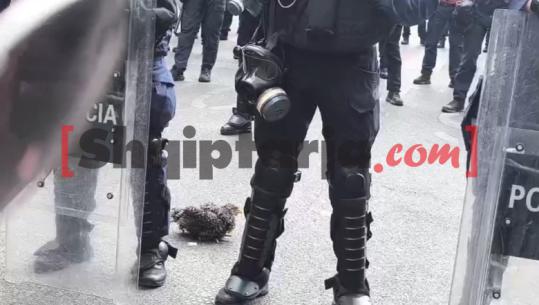 Protestuesit sjellin pulë, shpendi ‘struket’ pas policëve! Thirrjet: Deputetë frikacakë, keni frikë nga veza