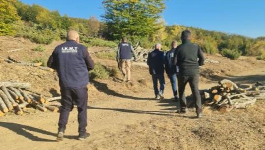 Kukës/ IKMT zbulon 2 raste të prerjes së paligjshme të pemëve, shoqërohen në Polici autorët