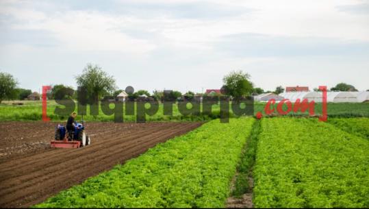 Në 2027-ën buxheti i Ministrisë së Bujqësisë shkon 180 mln €! Do vijojë kompensimi i TVSH me 10% për fermerët, jepen 32 mln €