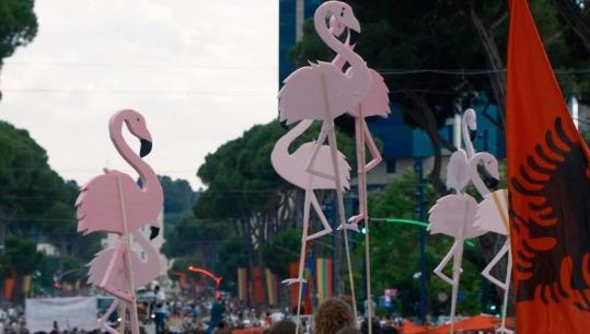 Bjorn Runa: Ajo që flamingot nuk kuptojnë nga protestat në Francë
